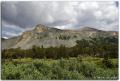 TIOGA PASS USA.jpg